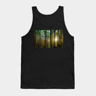 Sunshine Through a Redwood Forest Tank Top